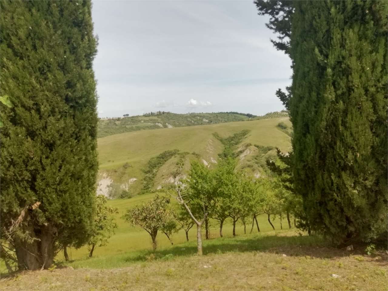  - foto 17