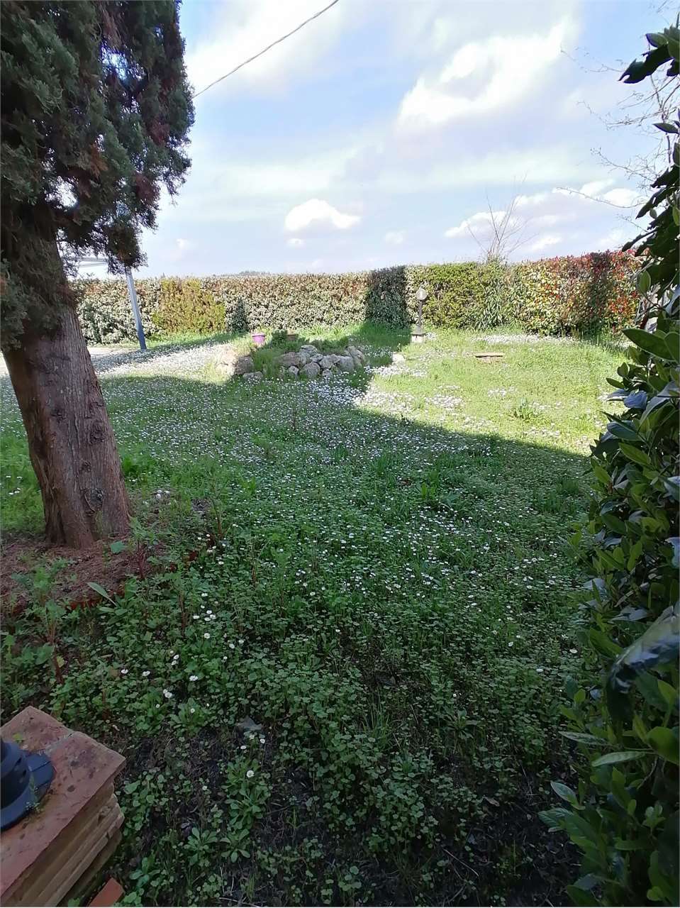  - foto 25