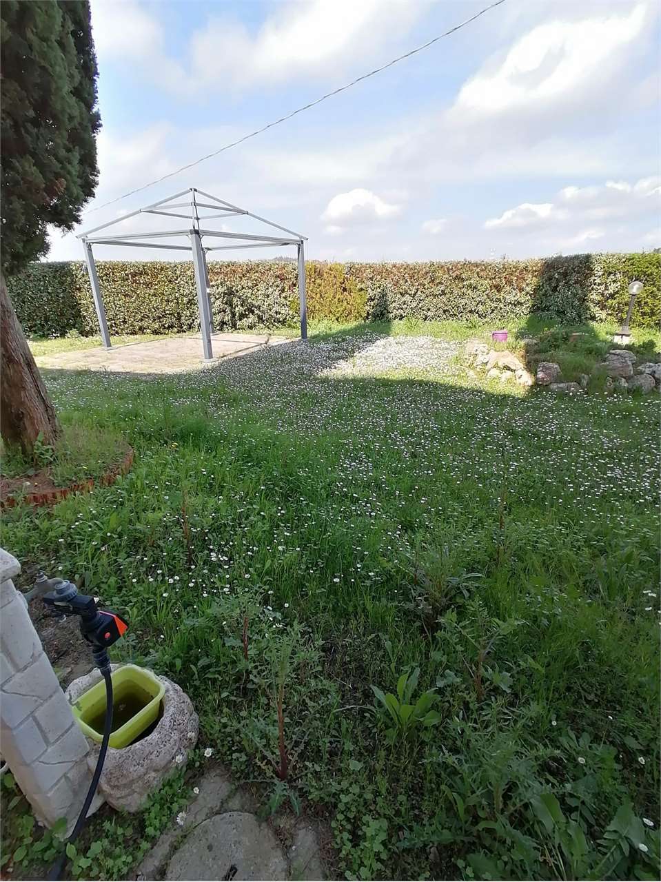  - foto 3