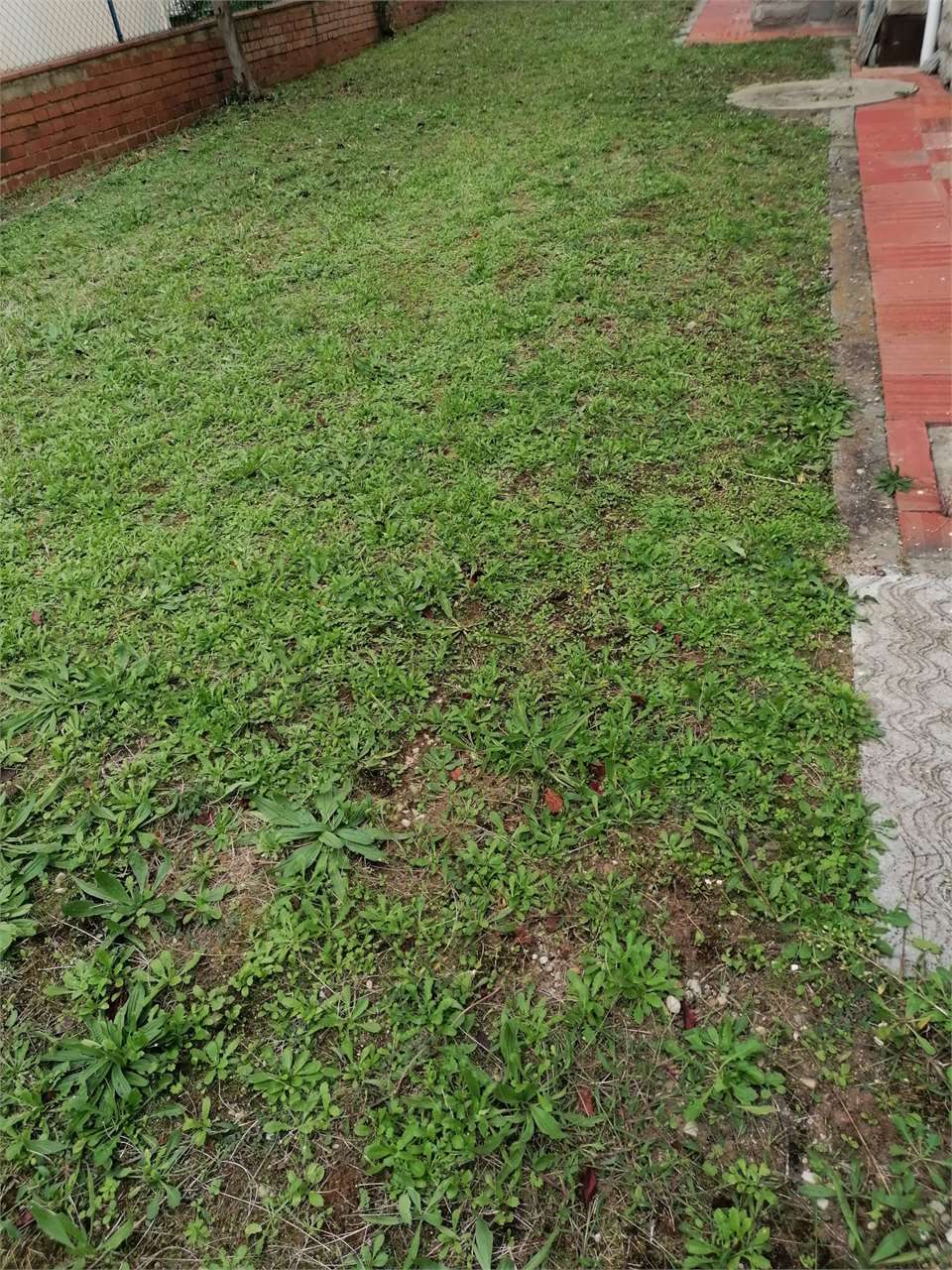  - foto 24