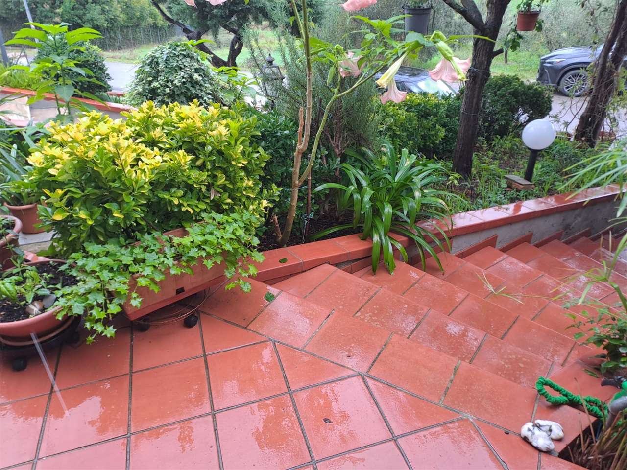  - foto 3
