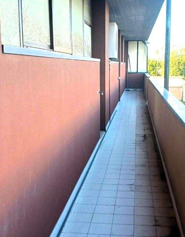  - foto 13