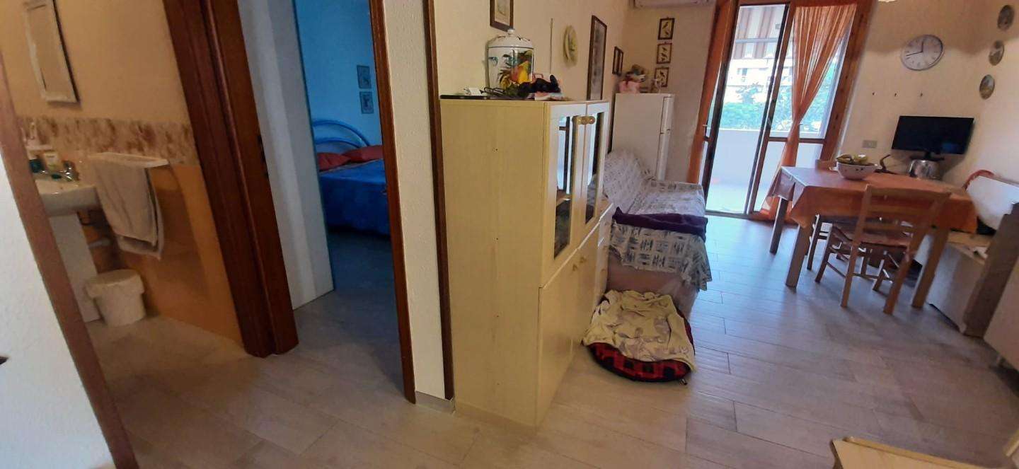 immagine annuncio 5 di 11