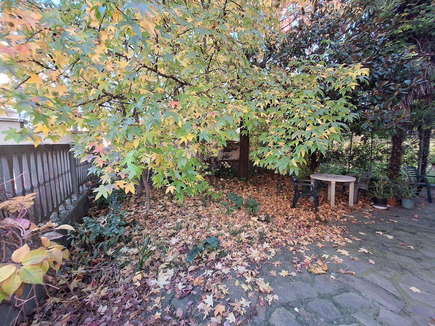  - foto 20