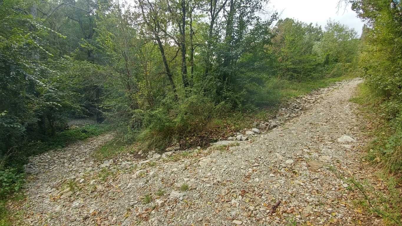  - foto 26