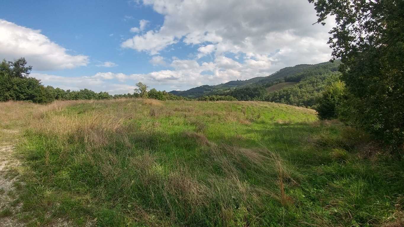  - foto 33