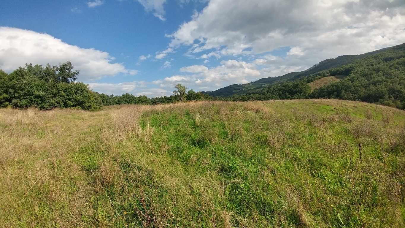  - foto 34