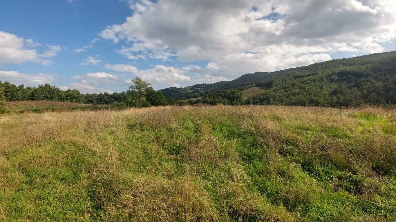 - foto 36