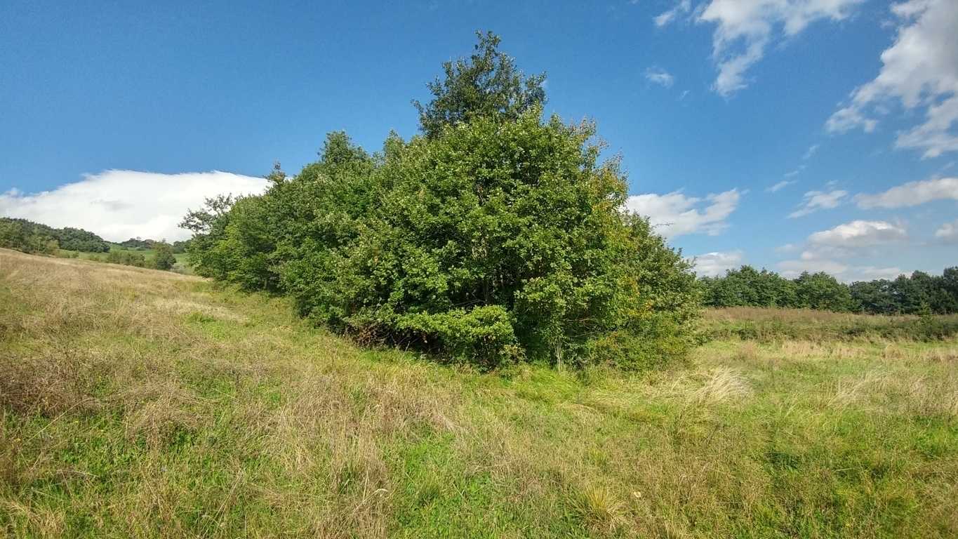 - foto 37
