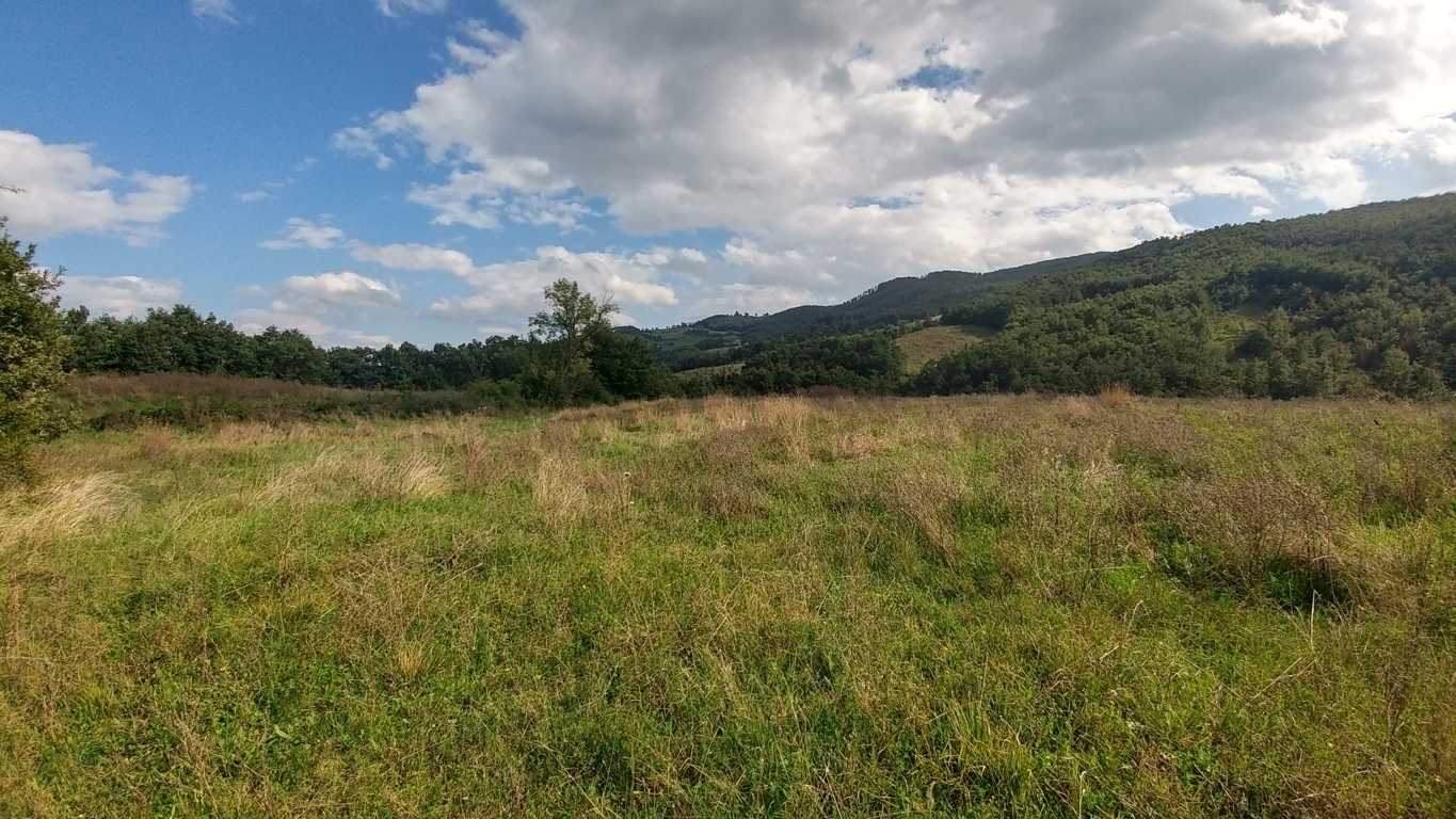  - foto 38