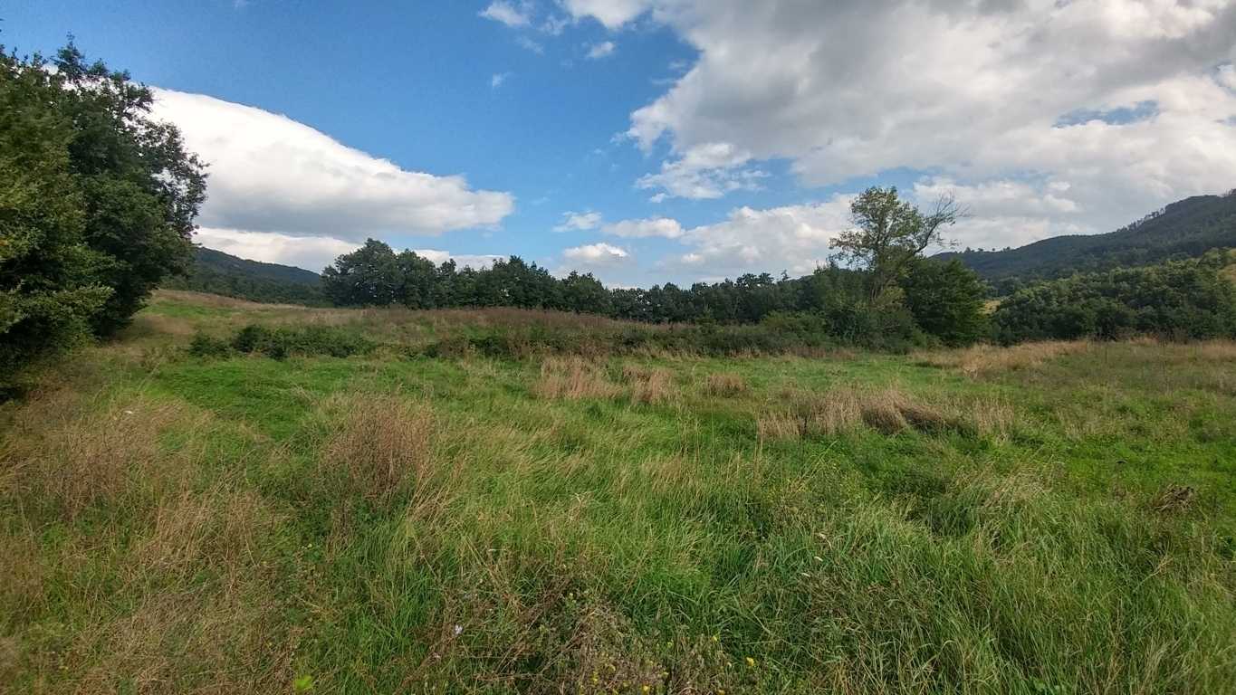  - foto 39