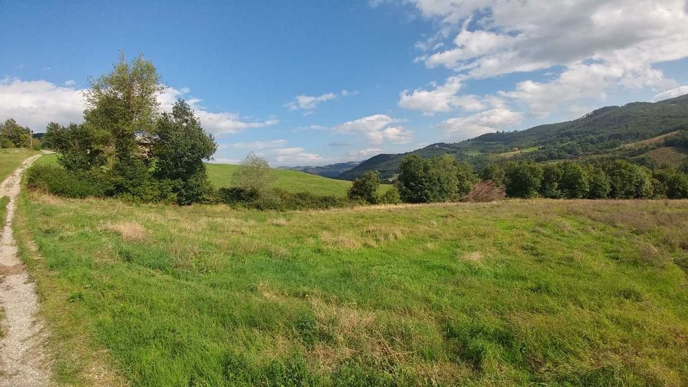  - foto 41