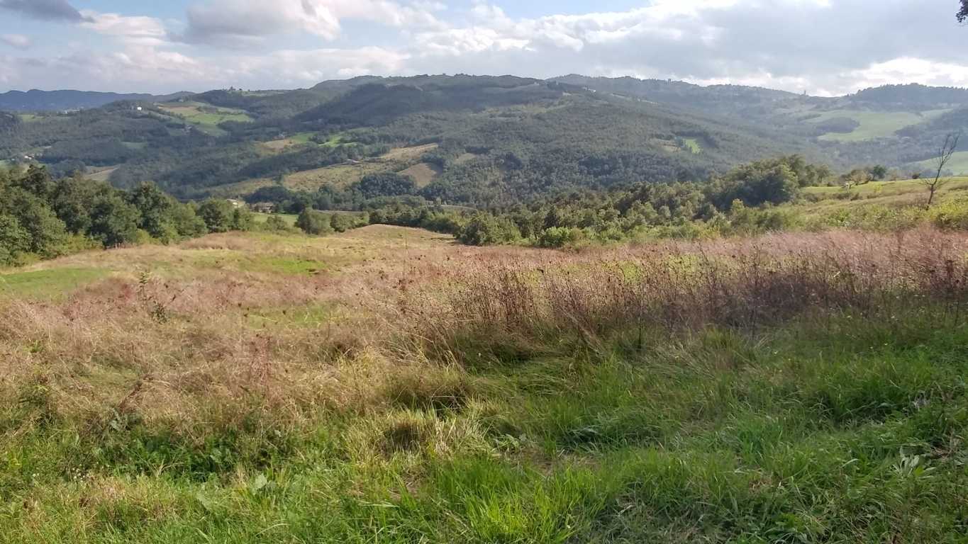  - foto 45
