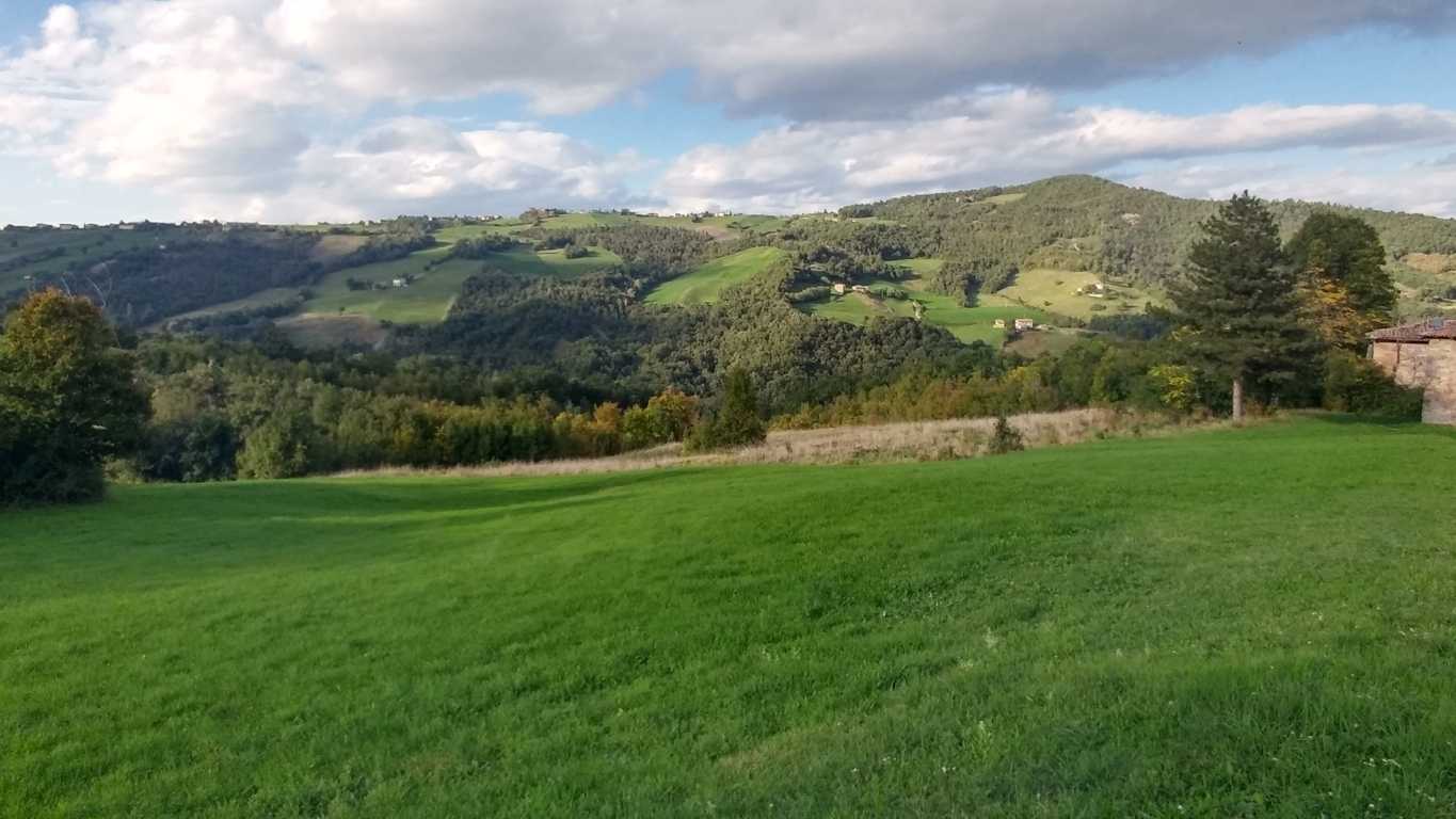  - foto 46