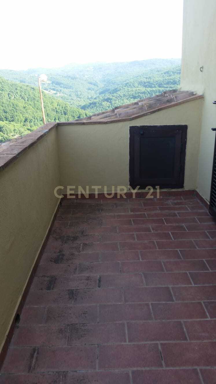  - foto 11