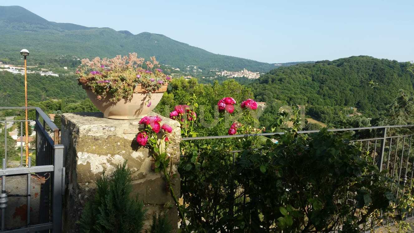  - foto 13