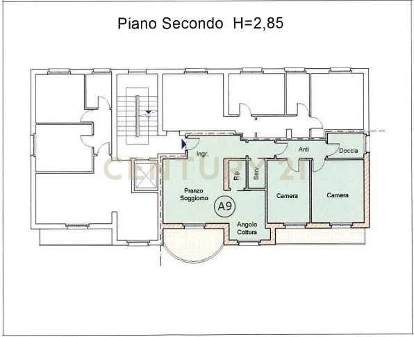 immagine annuncio 9 di 15