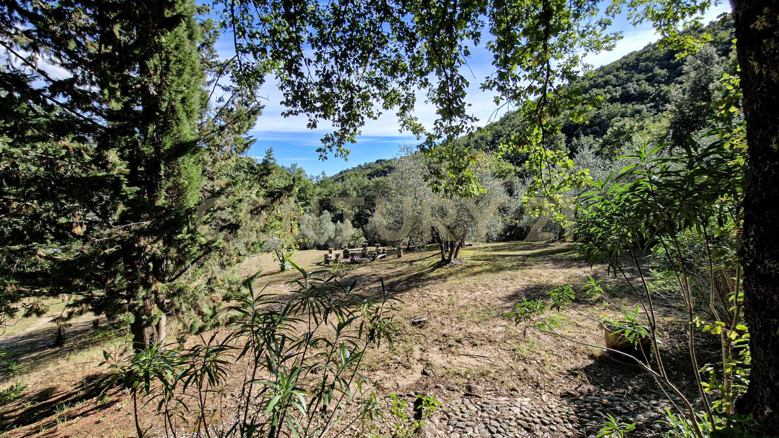  - foto 30