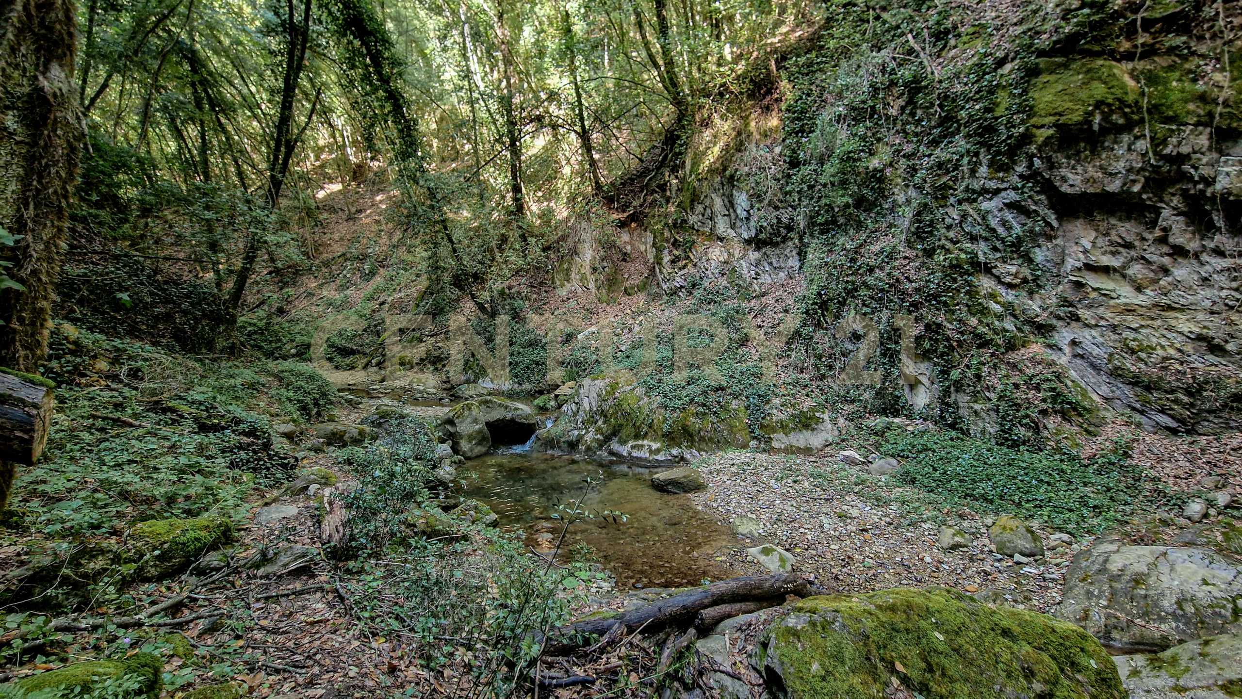  - foto 40