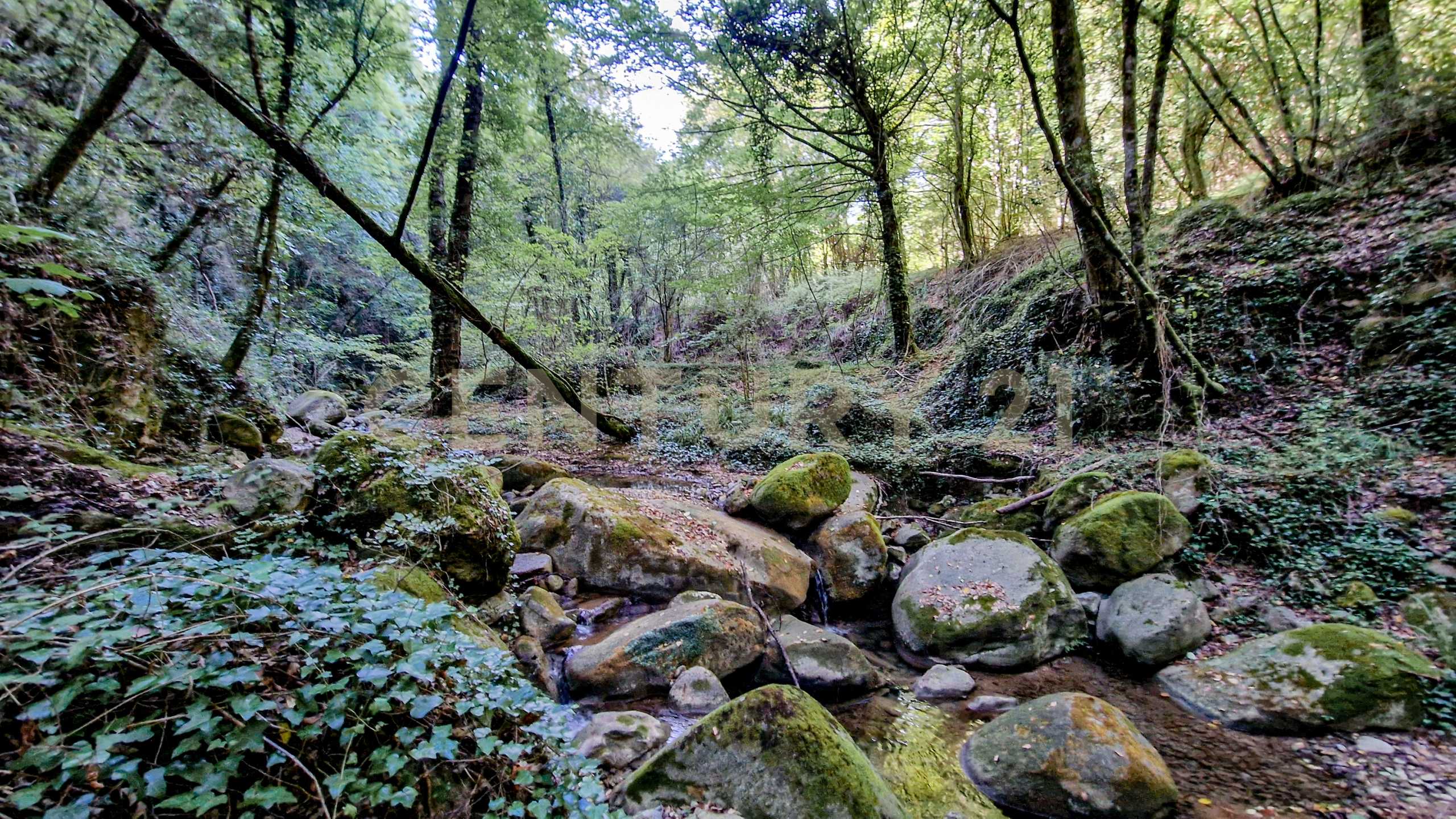  - foto 41