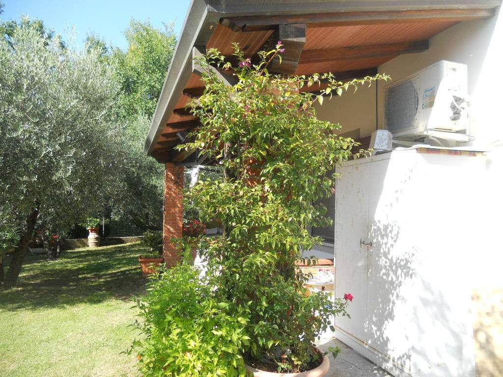  - foto 13