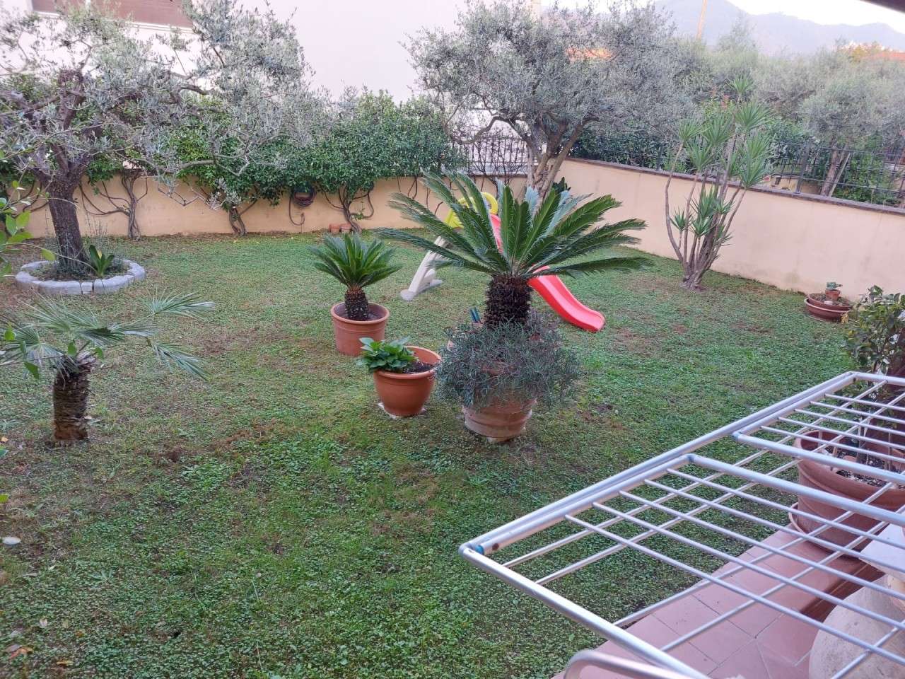  - foto 14