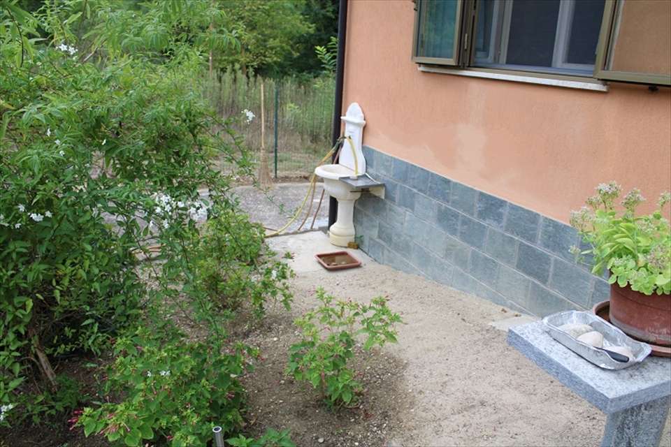 immagine annuncio 9 di 14