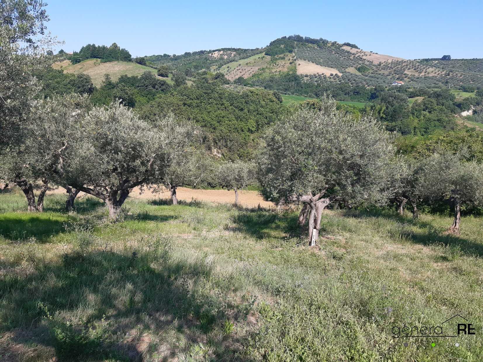 immagine annuncio 1 di 4
