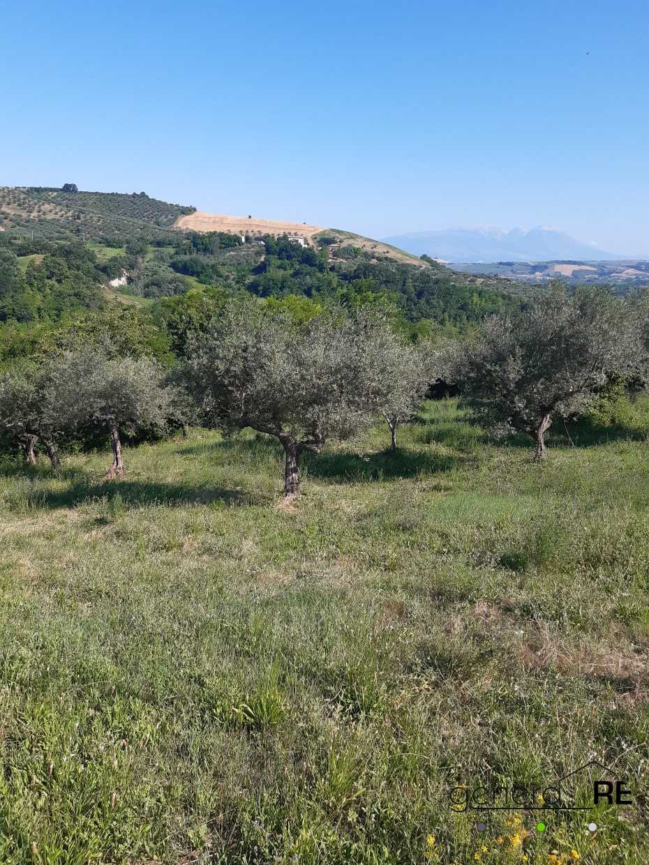 immagine annuncio 2 di 4