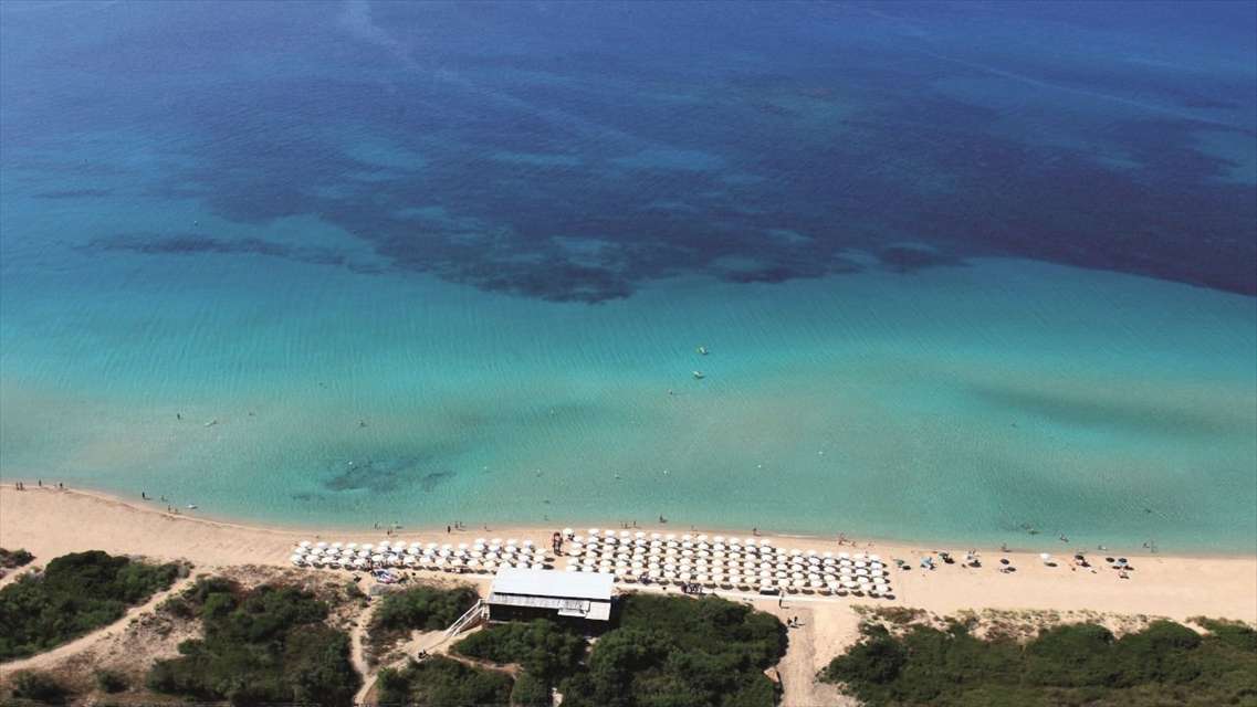 immagine annuncio 1 di 4