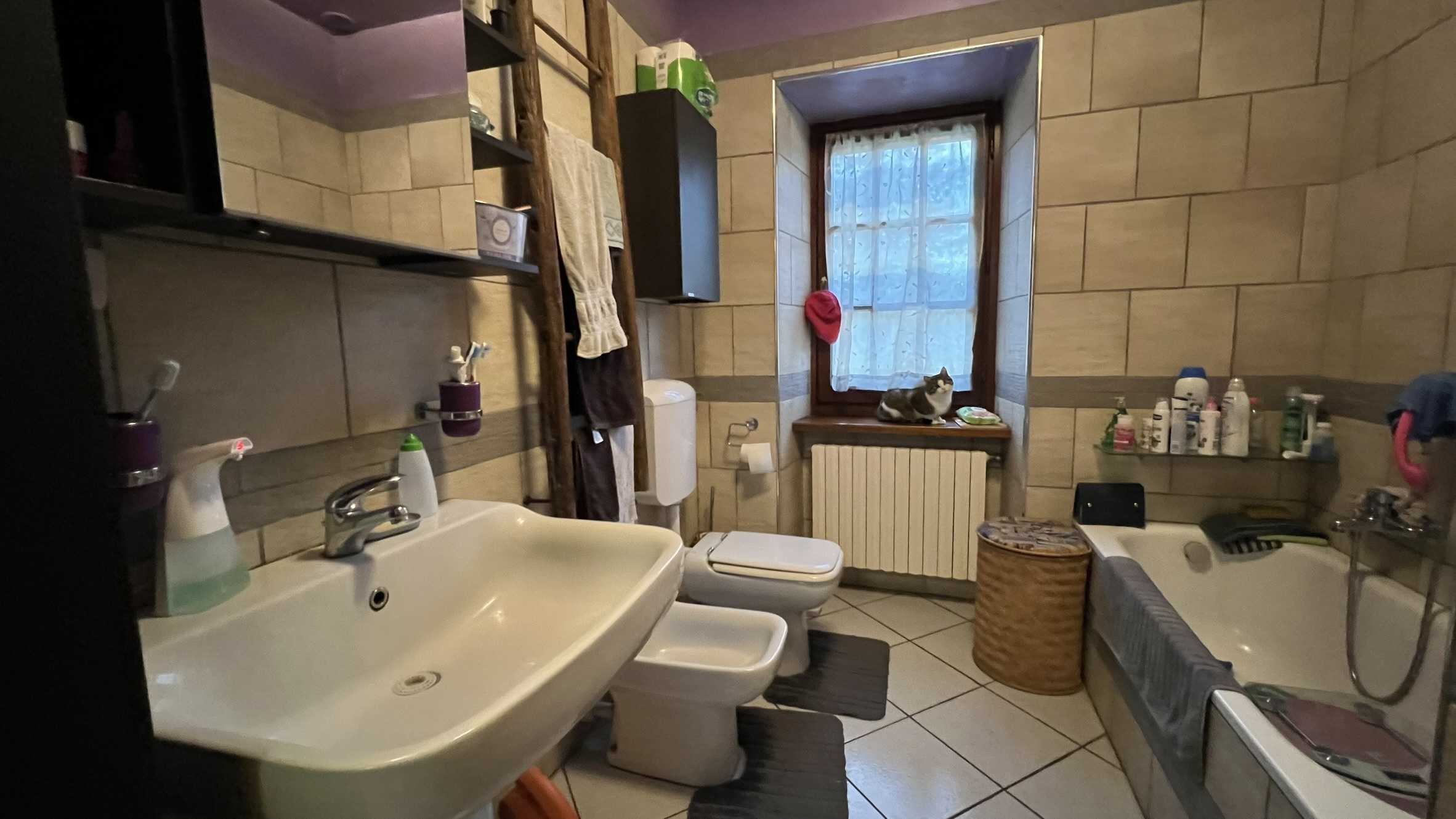  - foto 19