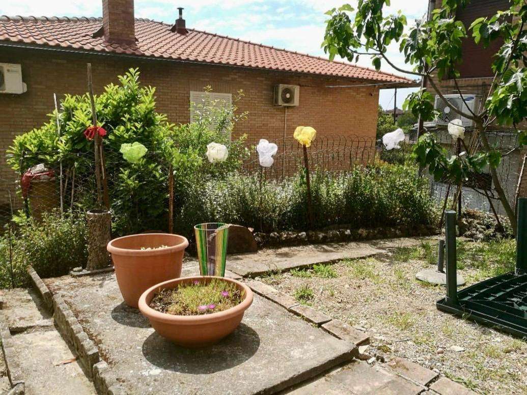  - foto 23