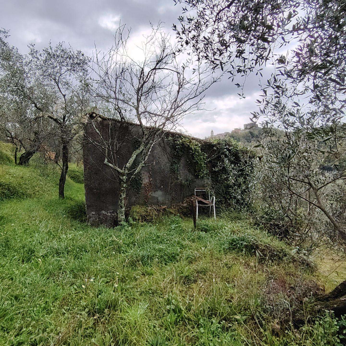 immagine annuncio 2 di 8