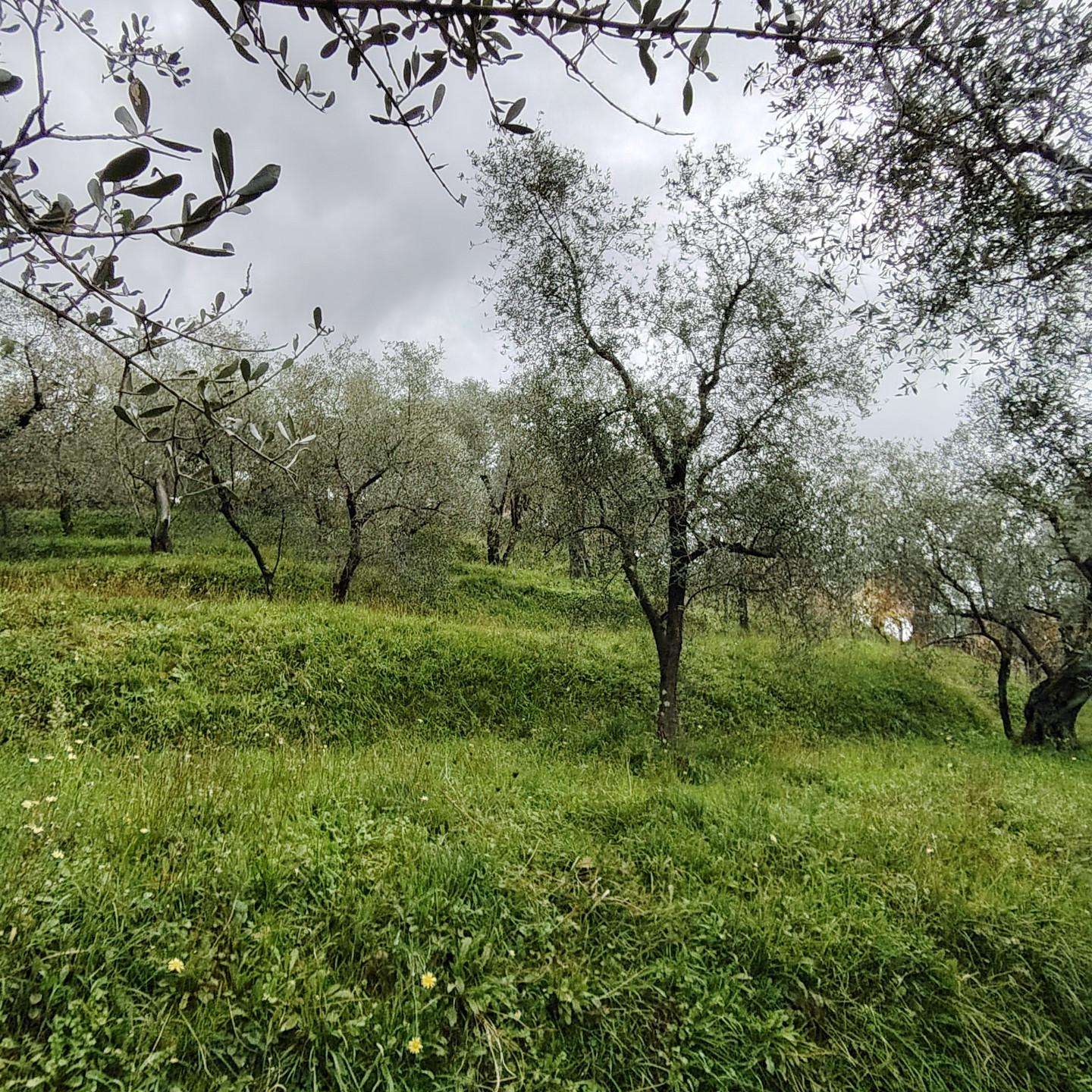immagine annuncio 7 di 8