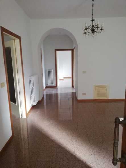  - foto 49