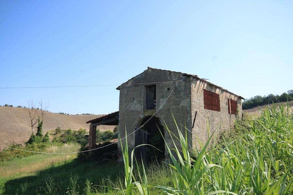  - foto 12