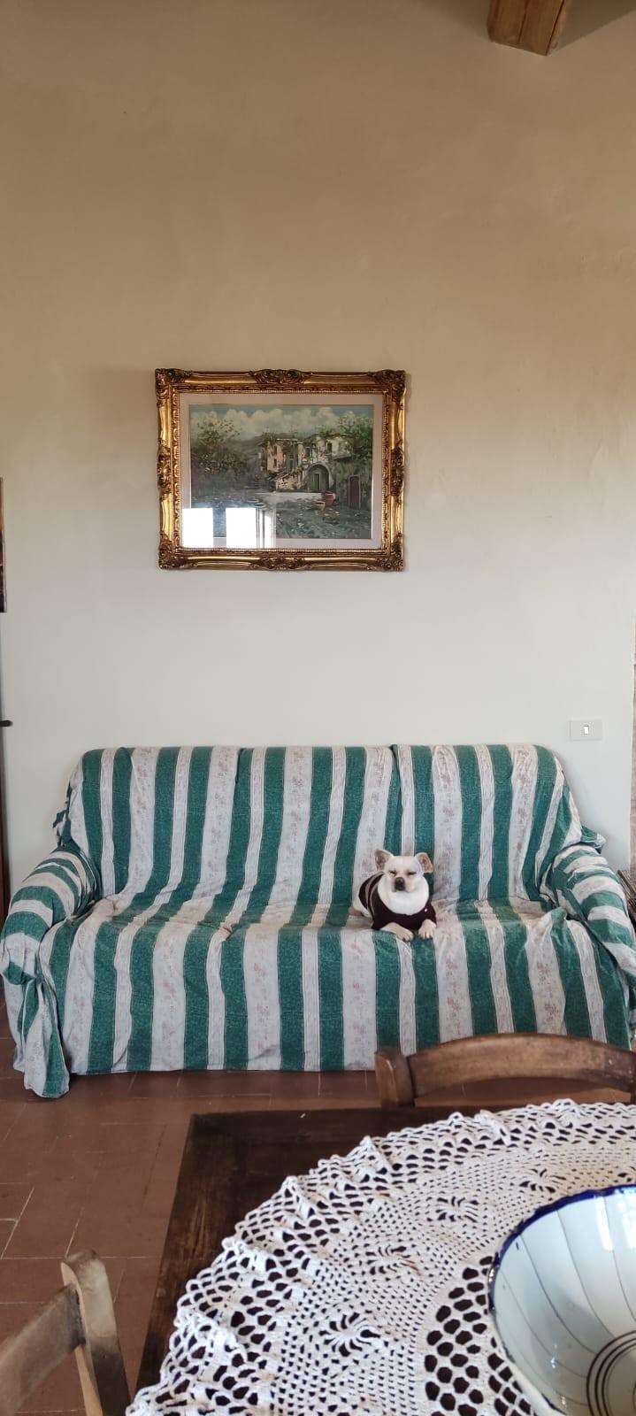  - foto 9