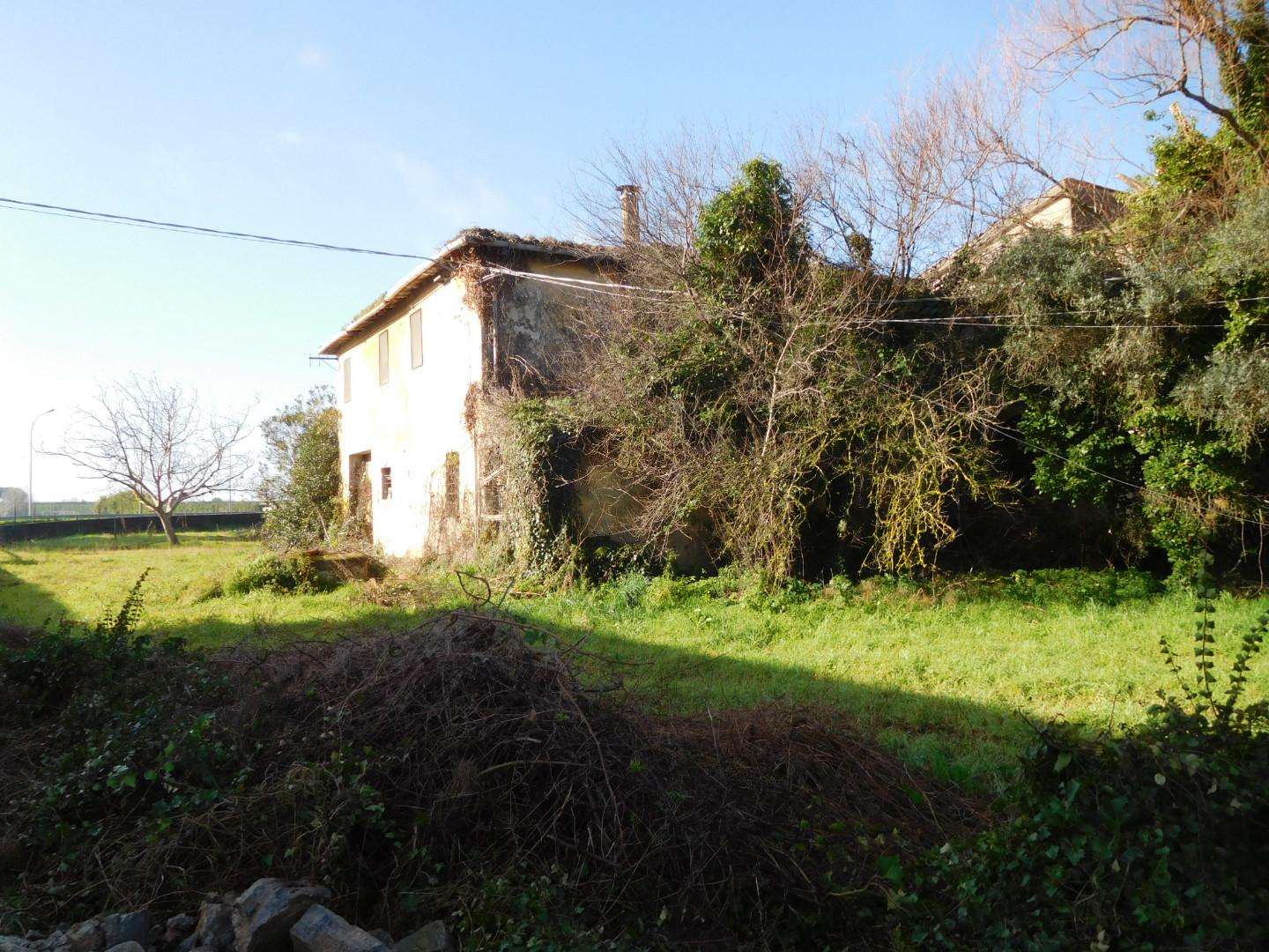 immagine annuncio 6 di 11