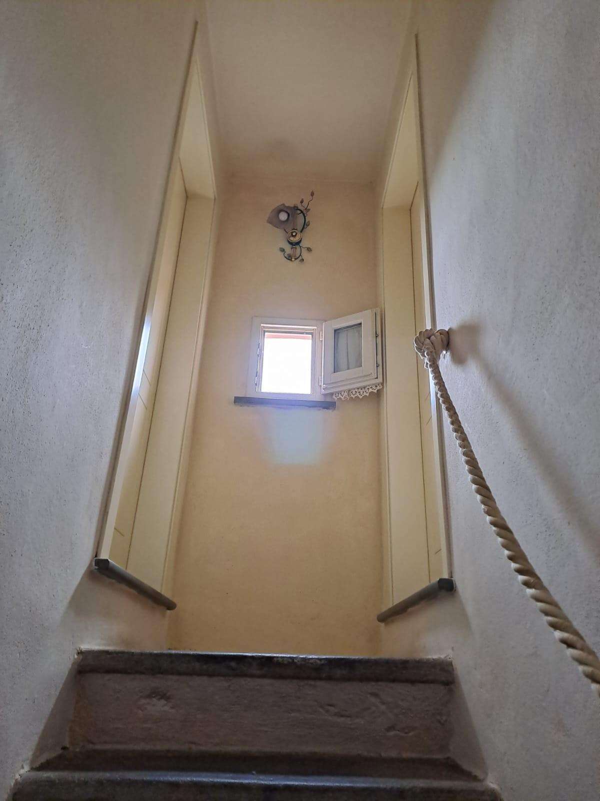 - foto 33