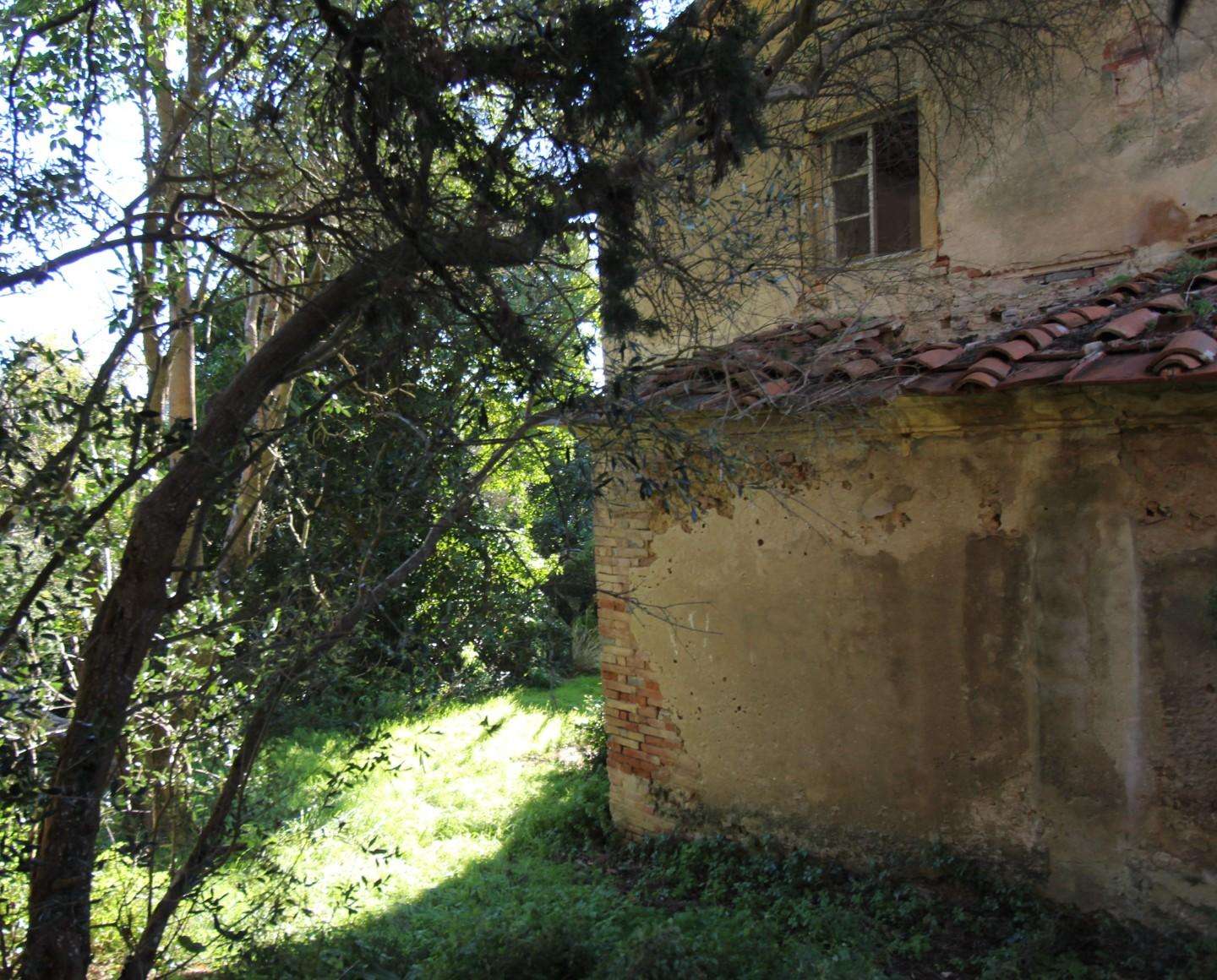 immagine annuncio 6 di 7