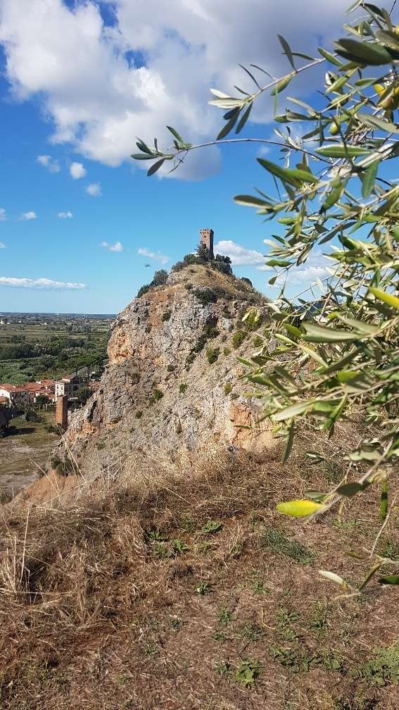  - foto 5