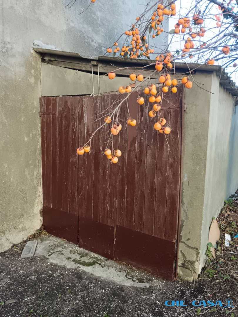 - foto 7
