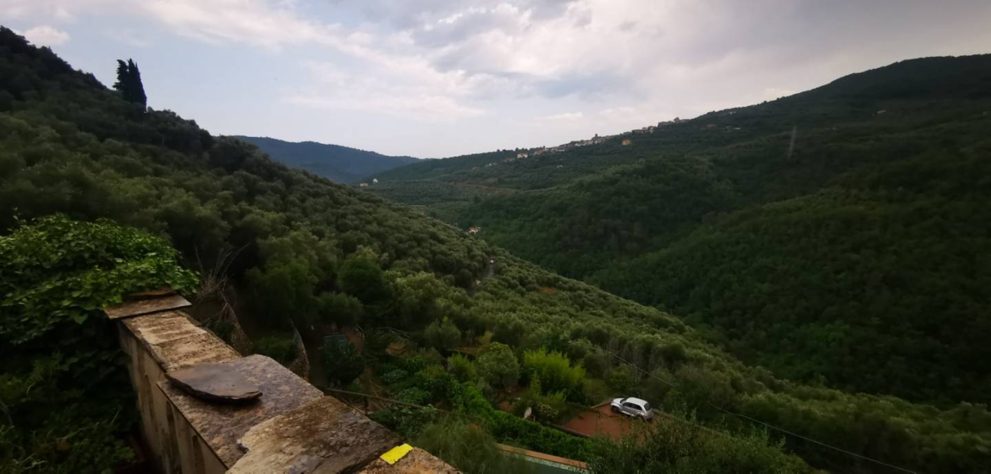 immagine annuncio 1 di 9