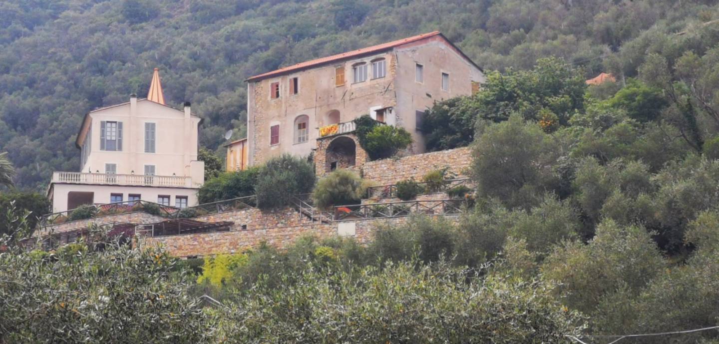immagine annuncio 3 di 9