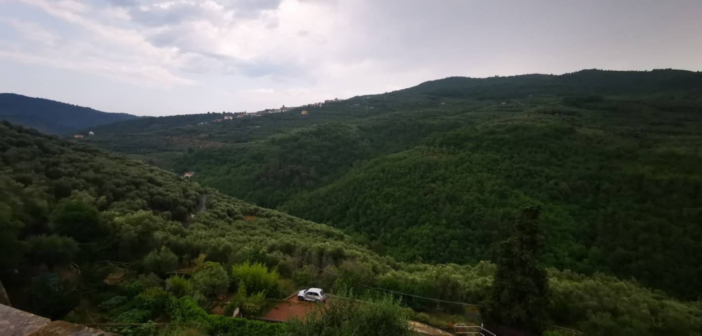 immagine annuncio 6 di 9
