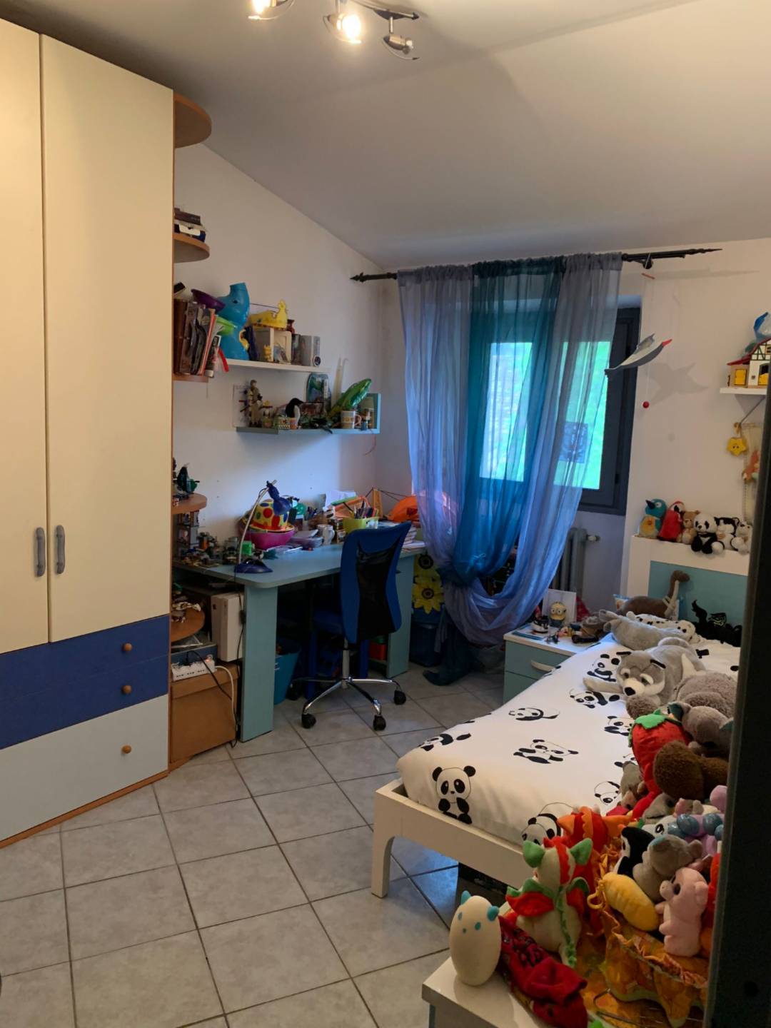 immagine annuncio 1 di 10