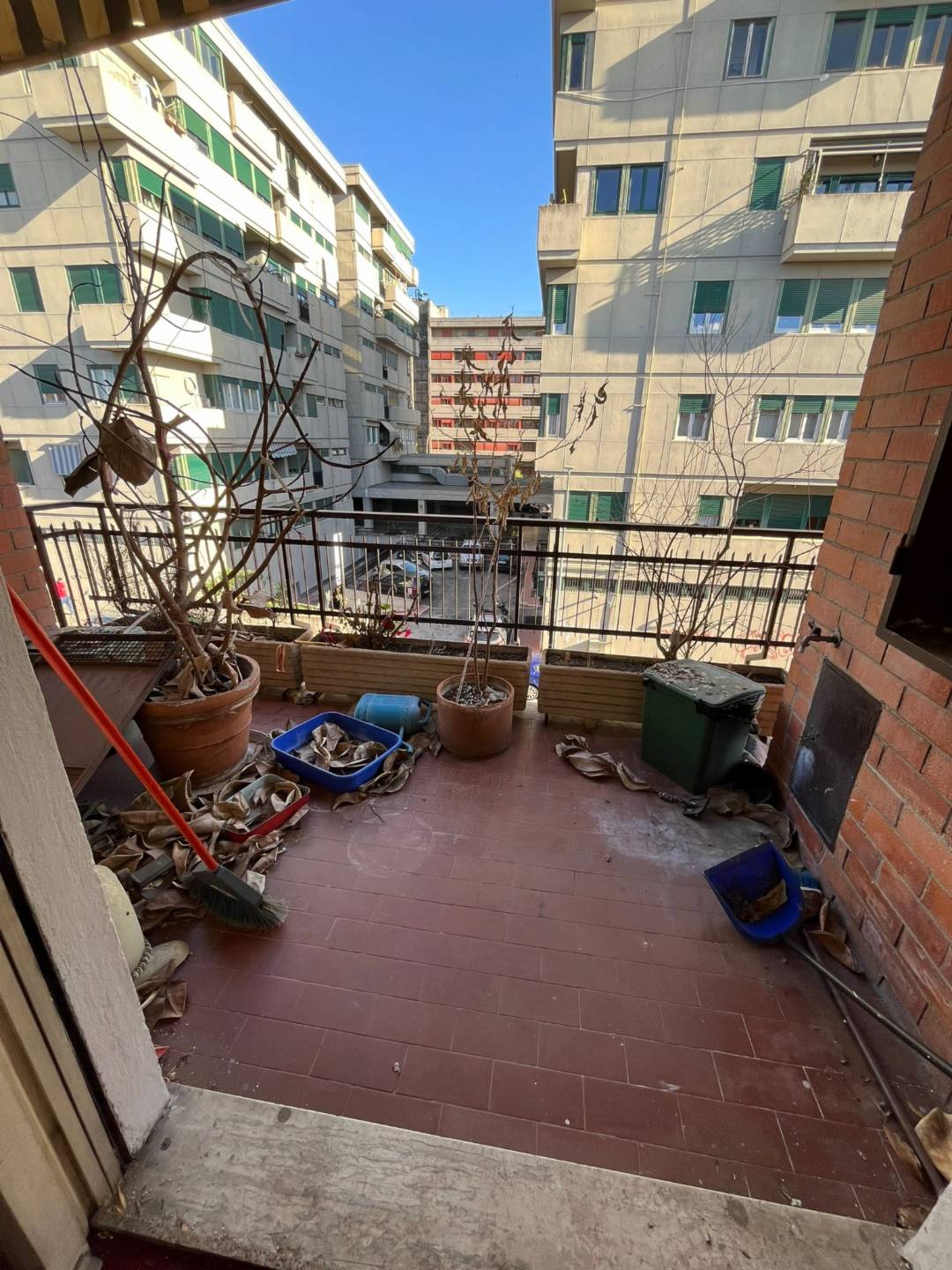 immagine annuncio 2 di 4