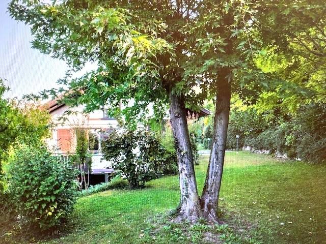 immagine annuncio 1 di 3