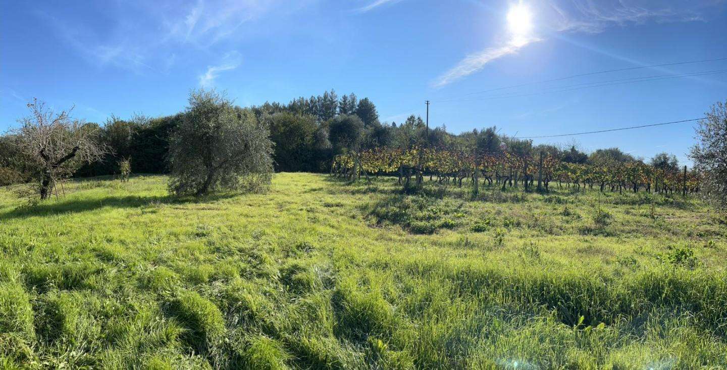  - foto 13