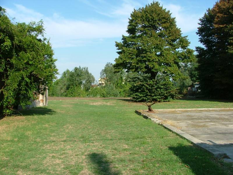 immagine annuncio 5 di 7